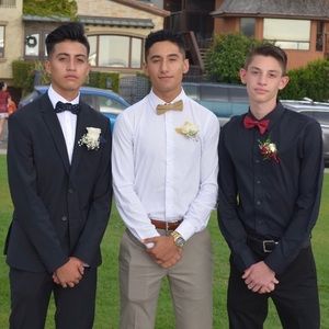 Meet your Posher, David